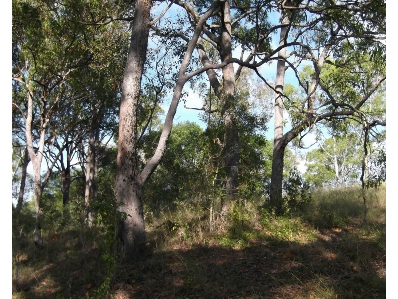 12 Sanctuary Court, Apple Tree Creek QLD 4660