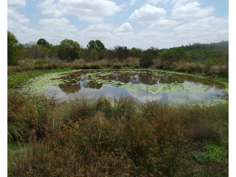 Lot 56 Marule Road, Booyal QLD 4671