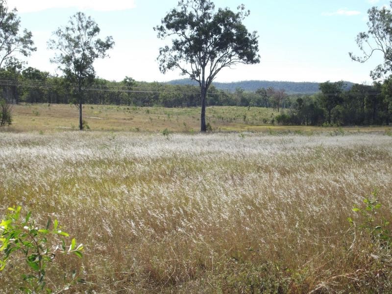 L50 Eureka Road, Golden Fleece QLD 4621