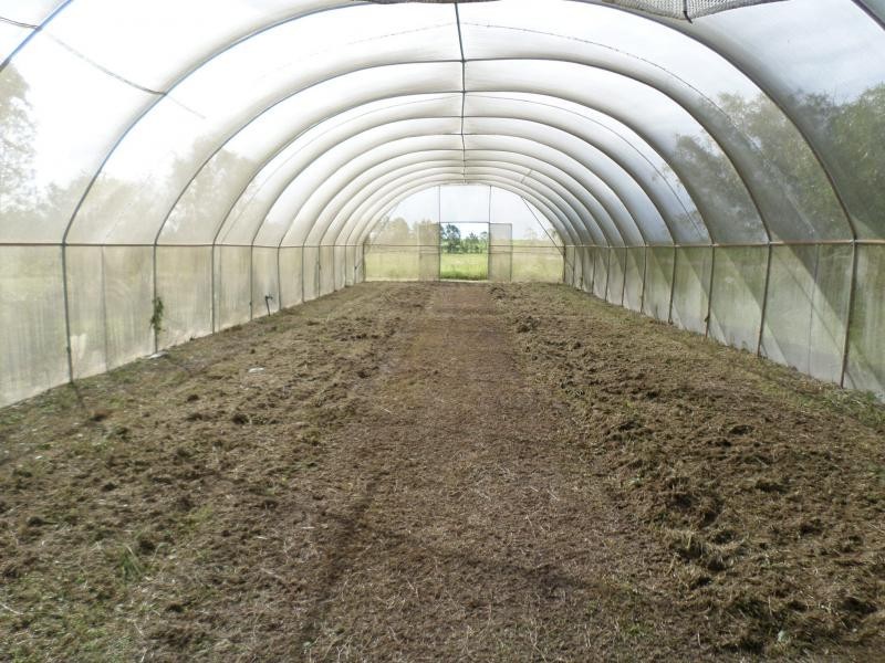 91 Tramway Road, Childers, Farnsfield QLD 4660