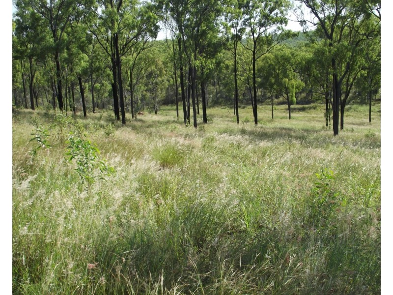 Lot 1 Booyal Dallarnil Road, Dallarnil QLD 4621