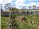 32 Lakeview Drive, Bundaberg, Alloway QLD 4670
