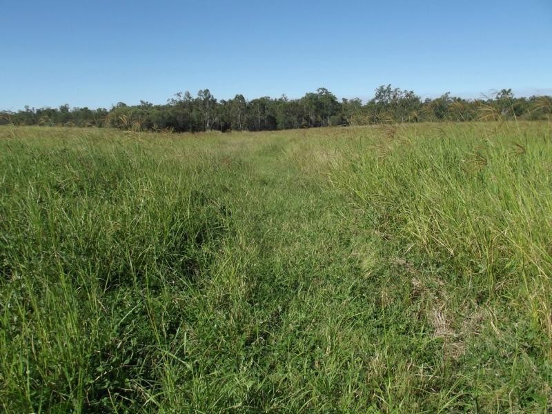 South Isis QLD 4660