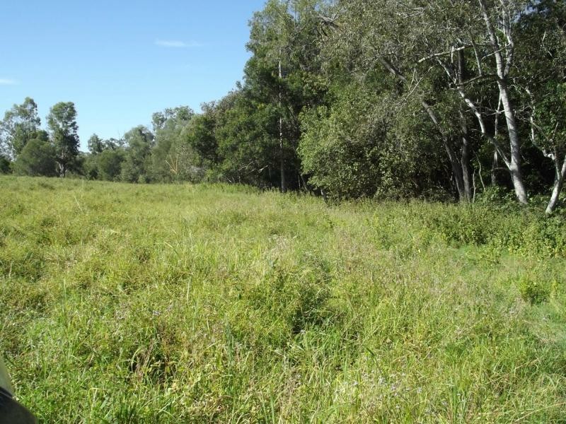 South Isis QLD 4660