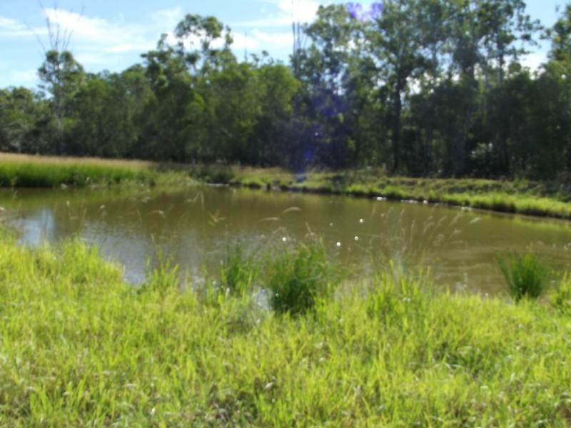 South Isis QLD 4660