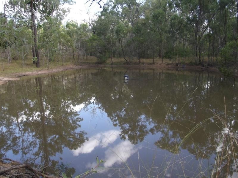 366 MT Goonaneman Road, Dallarnil QLD 4621