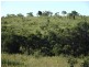 Coringa QLD 4621