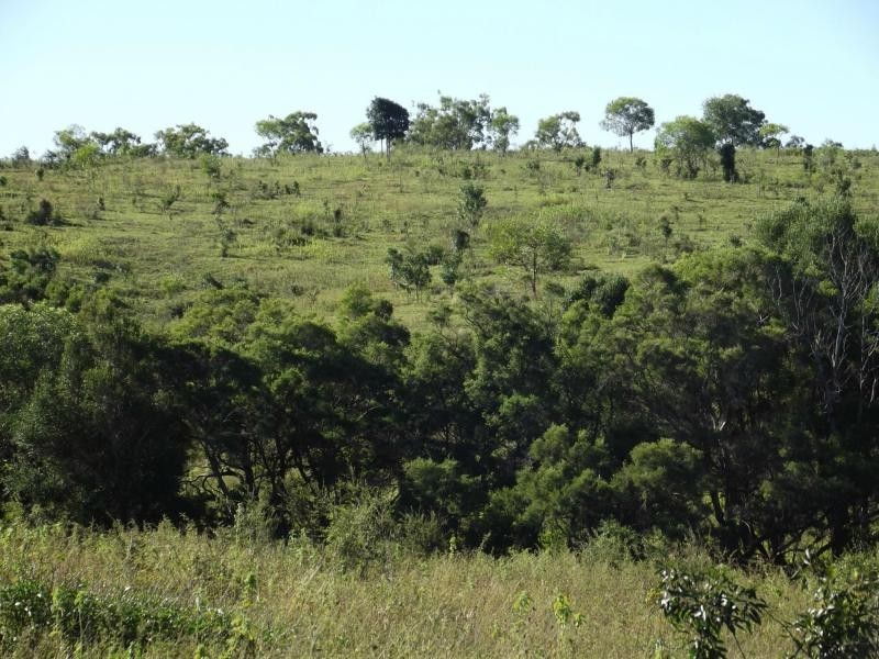 Coringa QLD 4621