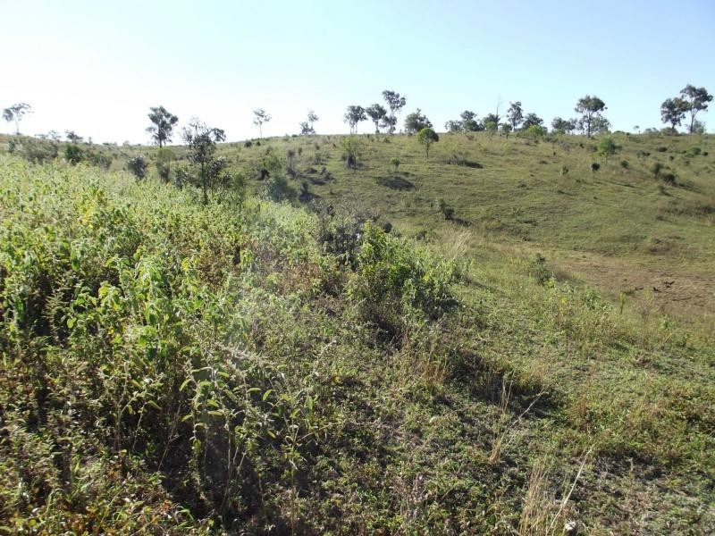 Coringa QLD 4621