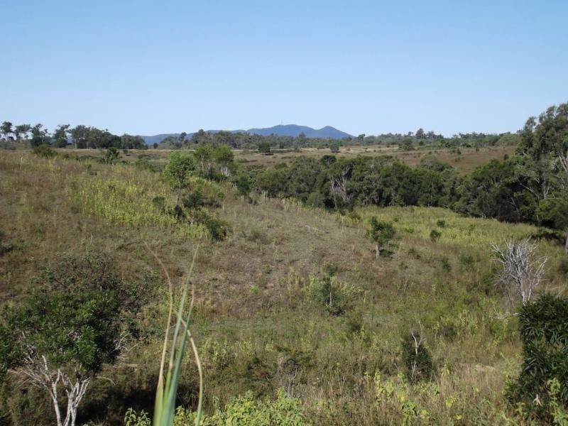 Coringa QLD 4621