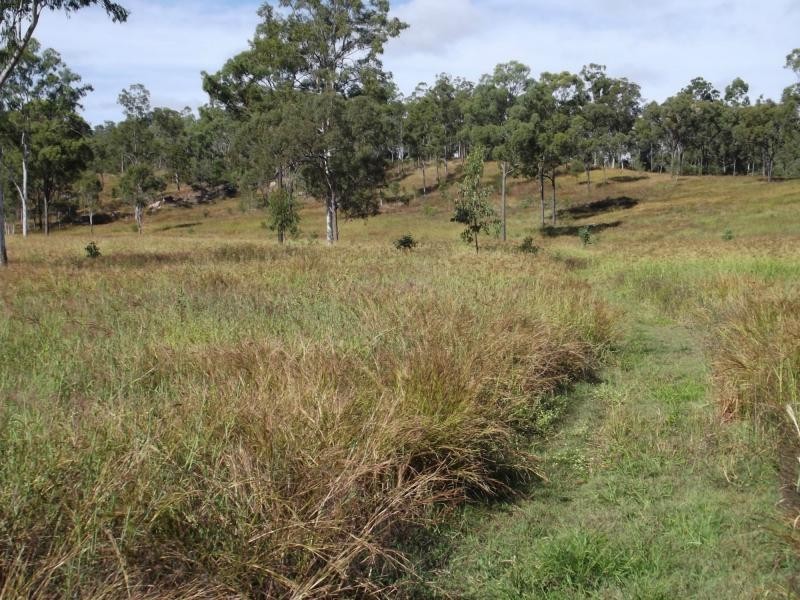 Degilbo QLD 4621
