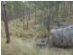 Degilbo QLD 4621
