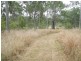 Good Night QLD 4671