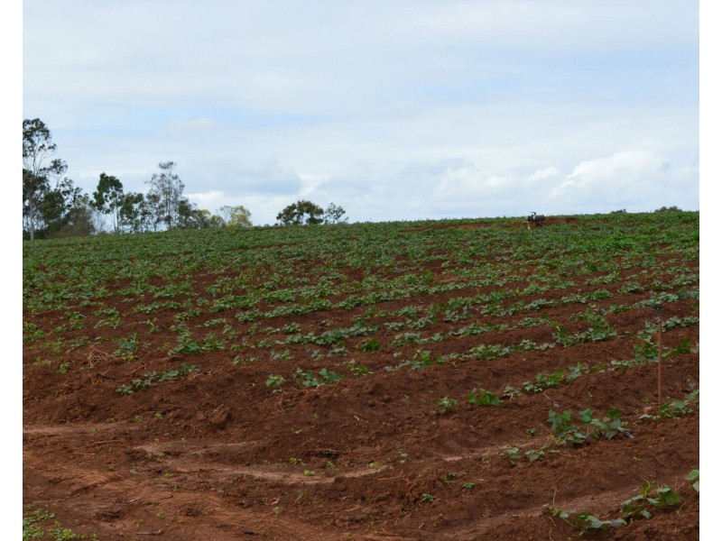 120 Gilgai Road, Delan QLD 4671