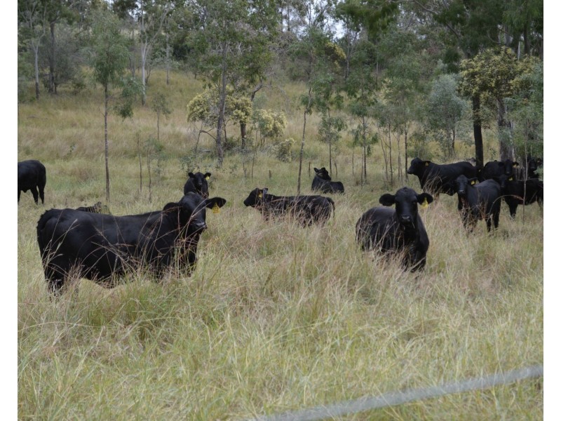 120 Gilgai Road, Delan QLD 4671