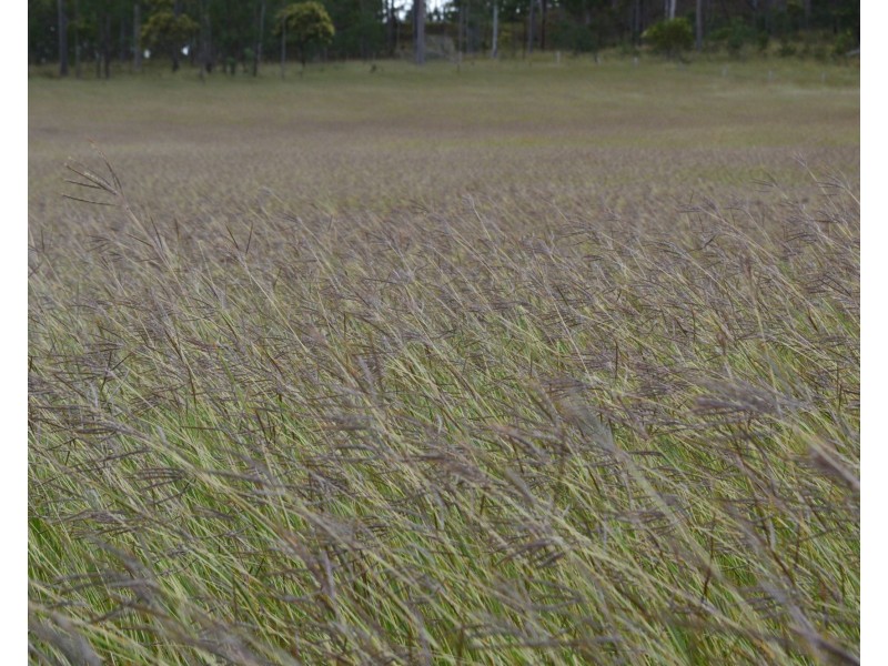 120 Gilgai Road, Delan QLD 4671