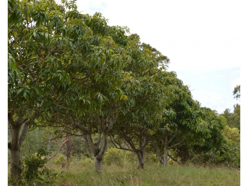 120 Gilgai Road, Delan QLD 4671