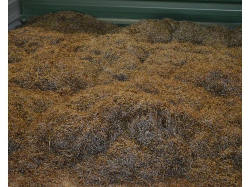 120 Gilgai Road, Delan QLD 4671