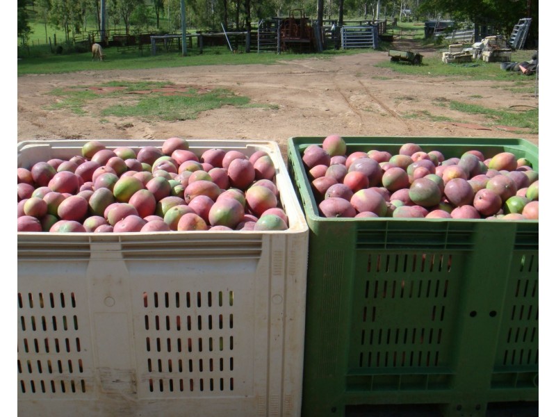 120 Gilgai Road, Delan QLD 4671