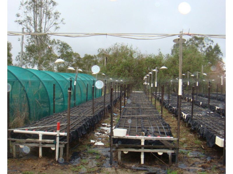 120 Gilgai Road, Delan QLD 4671