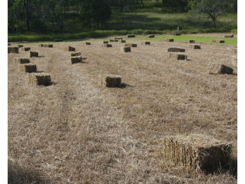 120 Gilgai Road, Delan QLD 4671