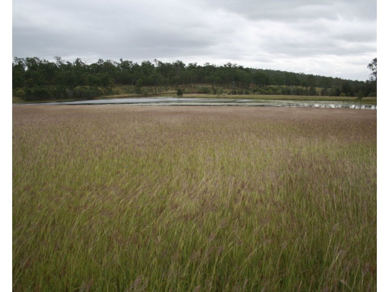 120 Gilgai Road, Delan QLD 4671