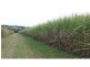 L46 & 64 Voss Road, Elliott QLD 4670