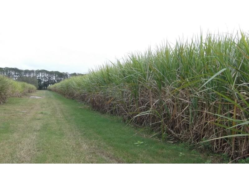 L46 & 64 Voss Road, Elliott QLD 4670