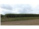 L46 & 64 Voss Road, Elliott QLD 4670