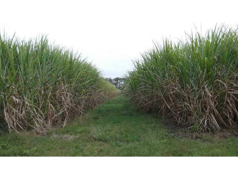 L46 & 64 Voss Road, Elliott QLD 4670