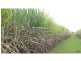 L46 & 64 Voss Road, Elliott QLD 4670