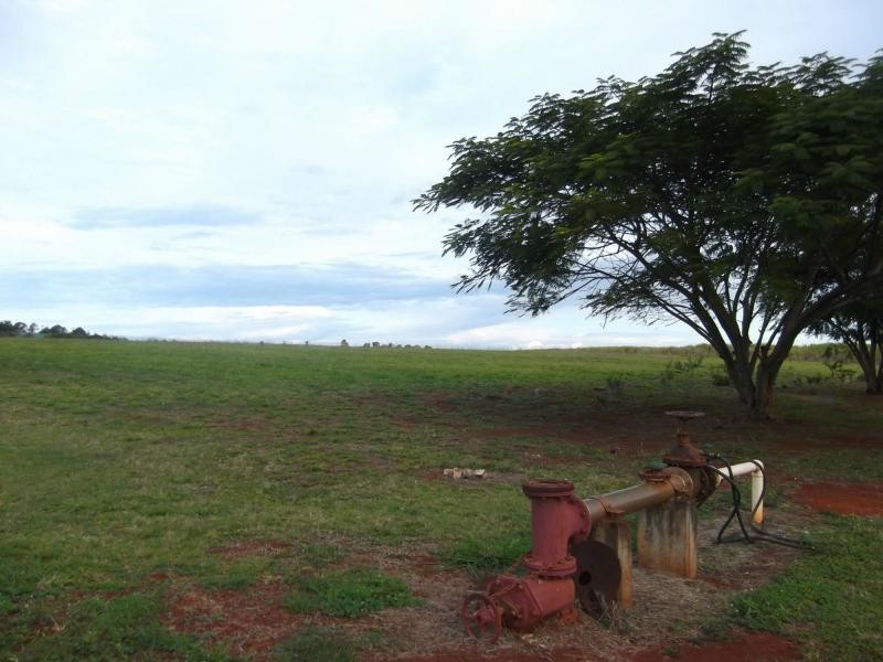 172 Huxley Road, Childers, North Isis QLD 4660