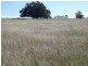 Lot 22 Gooroolba-Biggenden Road, Degilbo QLD 4621