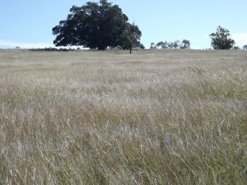 Lot 22 Gooroolba-Biggenden Road, Degilbo QLD 4621