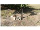 27936 Bruce Highway , Childers, Isis River QLD 4660