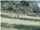 32 Lakeview Drive, Childers, Apple Tree Creek QLD 4660