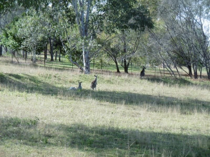 32 Lakeview Drive, Childers, Apple Tree Creek QLD 4660