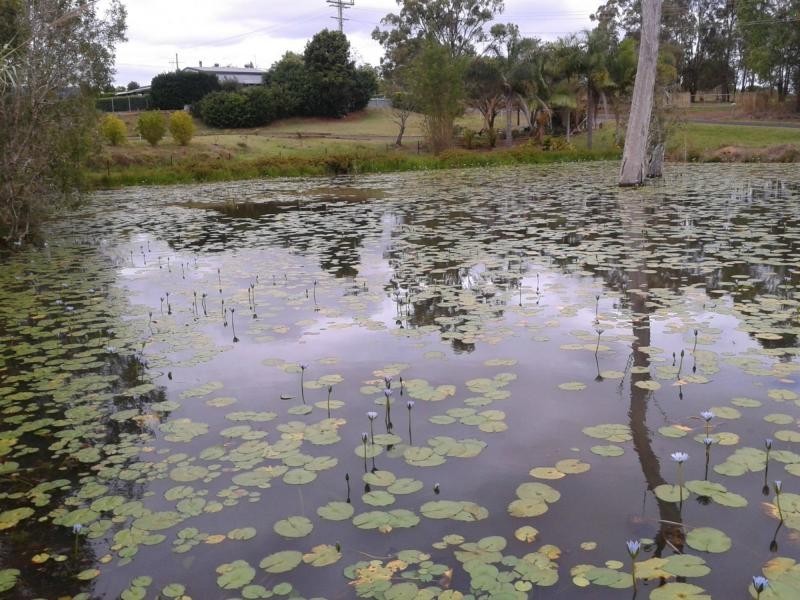 30 Redridge Crescent, Childers, Redridge QLD 4660