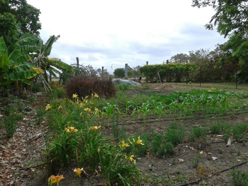 30 Redridge Crescent, Childers, Redridge QLD 4660