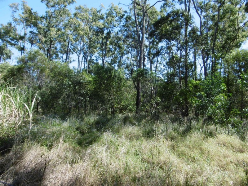 Lot 51 Mullers Road, Redridge QLD 4660