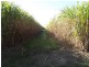 Lot 4 Tardas Road, Childers, Cordalba QLD 4660
