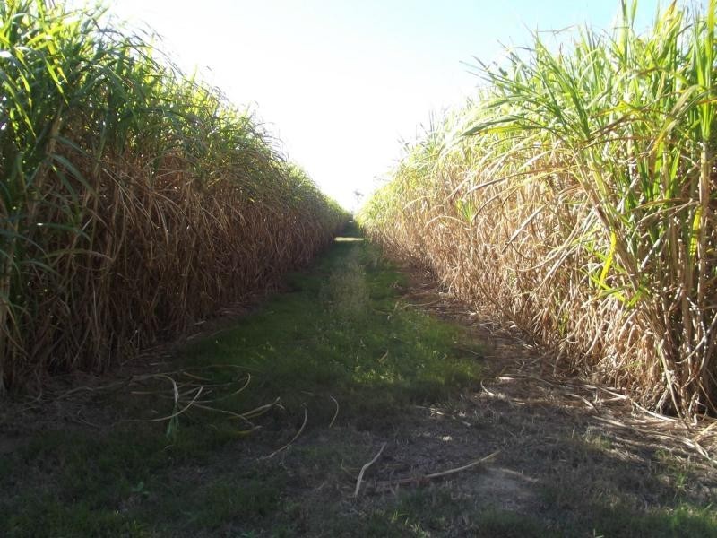Lot 4 Tardas Road, Childers, Cordalba QLD 4660