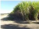 Lot 4 Tardas Road, Childers, Cordalba QLD 4660