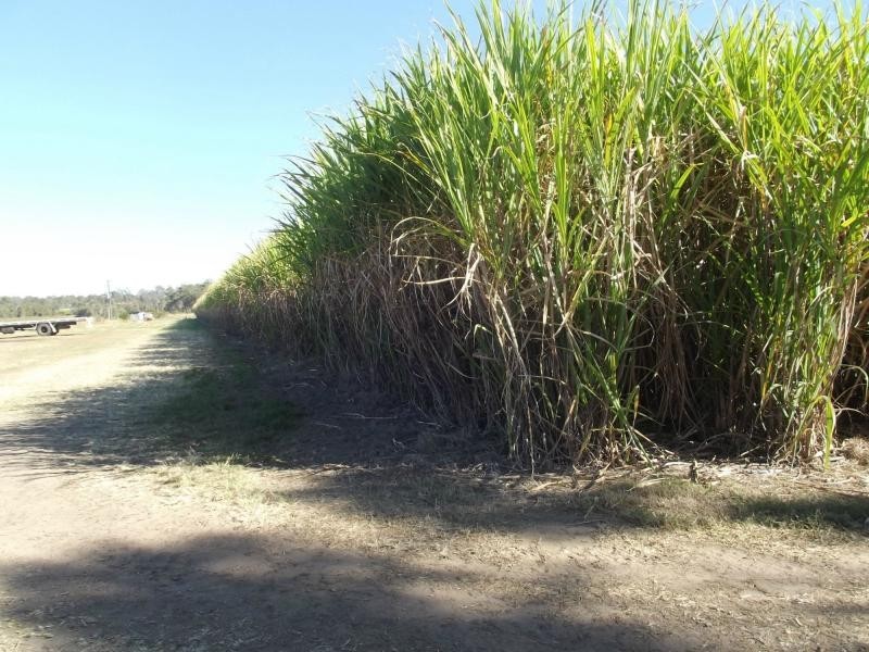 Lot 4 Tardas Road, Childers, Cordalba QLD 4660