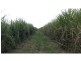 3055 Childers Road, North Gregory QLD 4660
