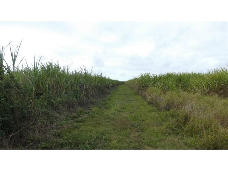 3055 Childers Road, North Gregory QLD 4660