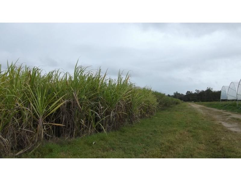 North Gregory QLD 4660