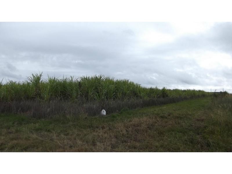 North Gregory QLD 4660