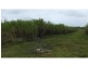 North Gregory QLD 4660