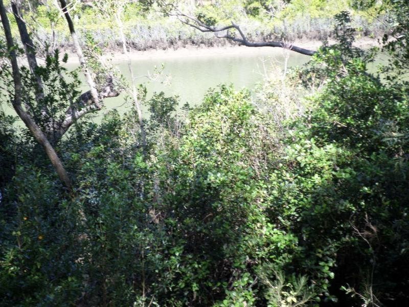 1596 Buxton Road, Buxton QLD 4660